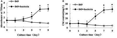 Enhanced Lipid Production in Chlamydomonas reinhardtii by Co-culturing With <mark class="highlighted">Azotobacter</mark> chroococcum